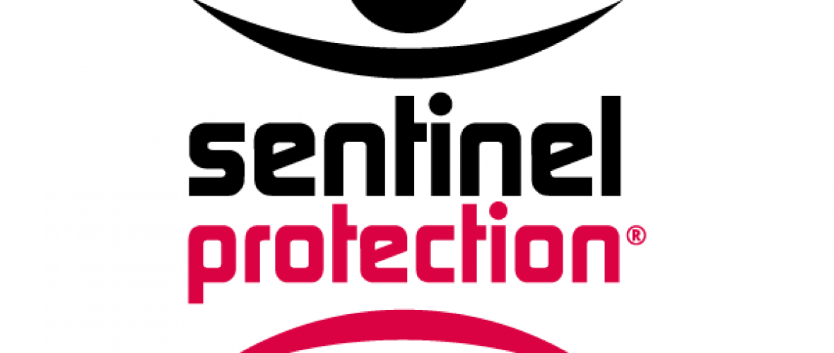 what is sentinel protection installer 7.6.6